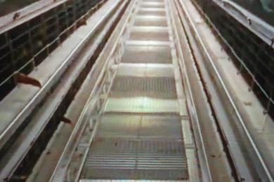 South Korea Egg Farm Poultry Project-3