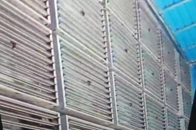 South Korea Egg Farm Poultry Project-5